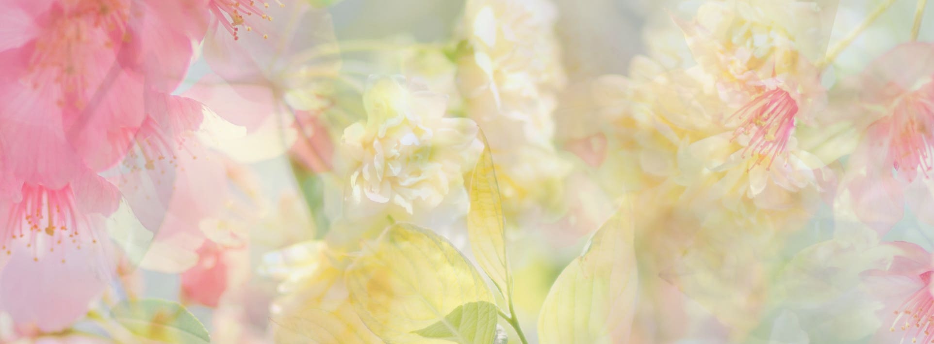 Spring Fragrances